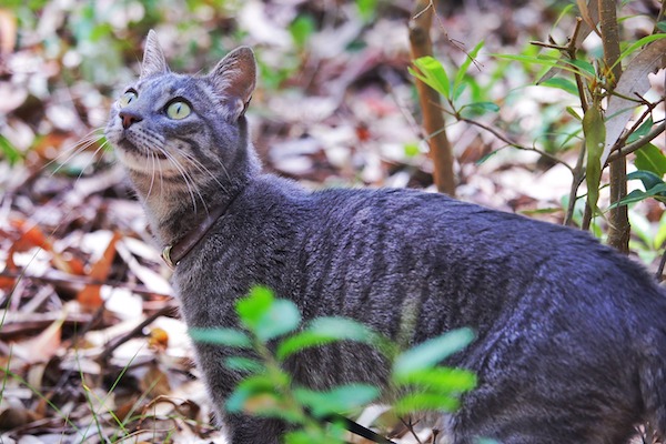 f:id:takuteto:20220209143959j:plain