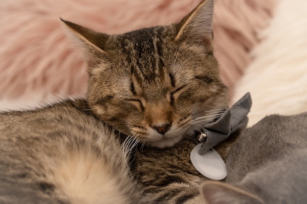 f:id:takuteto:20220307203545j:plain