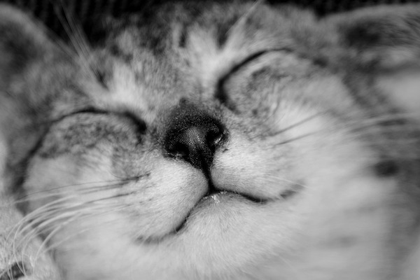 f:id:takuteto:20220324093253j:plain