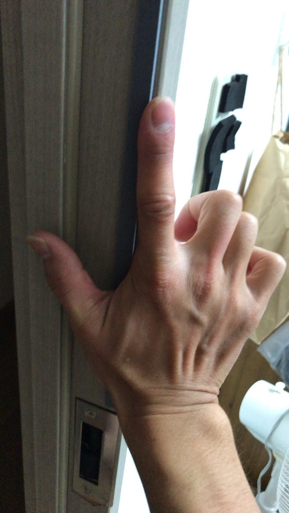 f:id:takuwan1:20181020000328j:plain f:id:takuwan1:20181020000328j:plain