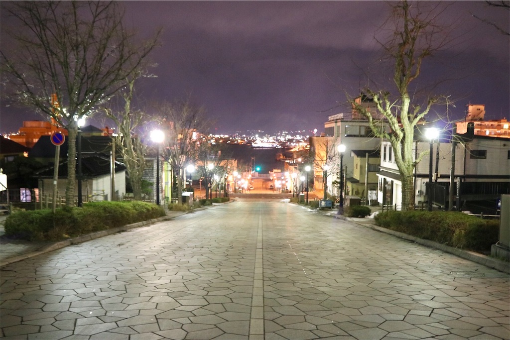 f:id:takuya-66-udon:20190315223226j:image f:id:takuya-66-udon:20190315223226j:image