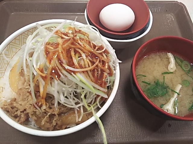 すき家の白髪ねぎ牛丼は旨塩ダレと旨辛ダレのどちらが美味しいのか比較してみた ４０代崖っぷちフリーターの奮闘日記