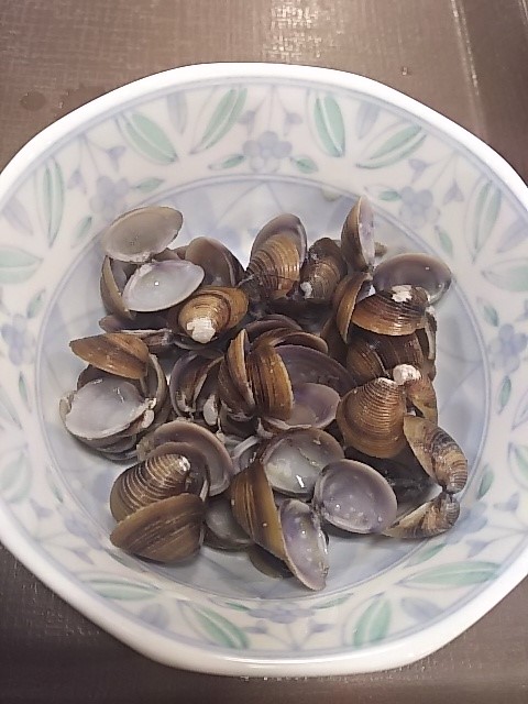 f:id:takuya500:20190215162120j:plain