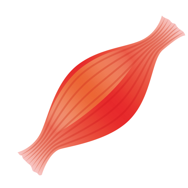 f:id:takuyaart:20180112063526j:plain