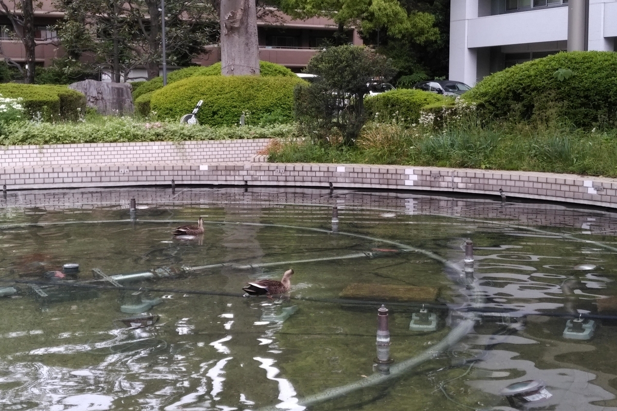 f:id:takuzoo3868:20191218233808j:plain f:id:takuzoo3868:20191218233808j:plain
