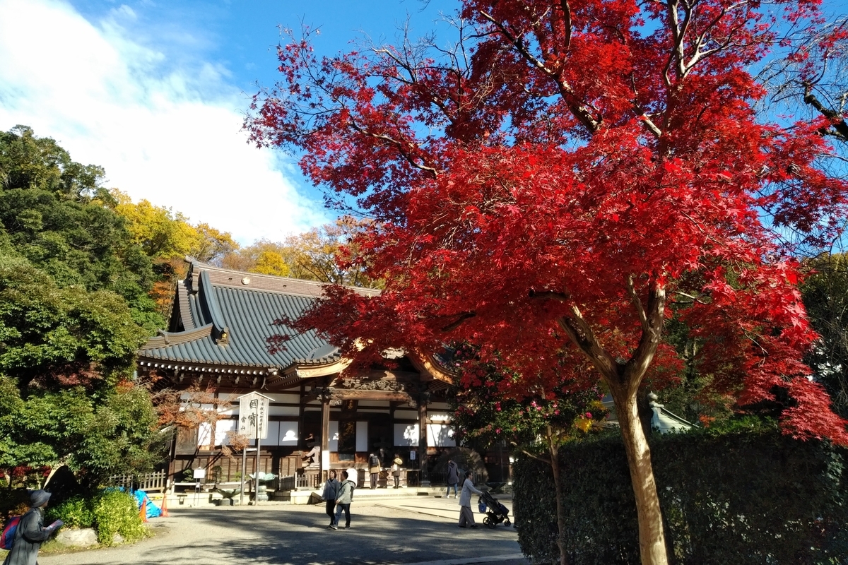 f:id:takuzoo3868:20191219031241j:plain f:id:takuzoo3868:20191219031241j:plain