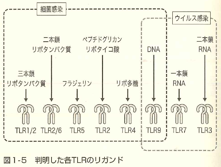 f:id:takyamamoto:20170728162304p:plain f:id:takyamamoto:20170728162304p:plain