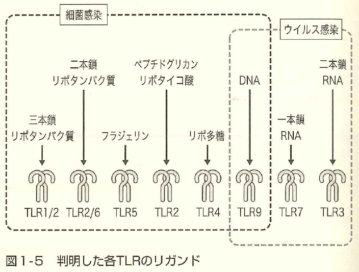 f:id:takyamamoto:20170728162304p:plain