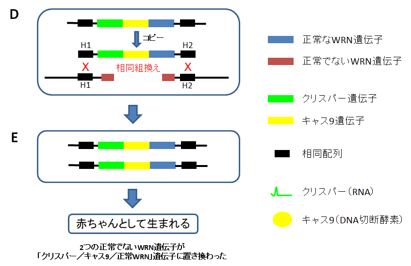f:id:takyamamoto:20180129200539p:plain f:id:takyamamoto:20180129200539p:plain