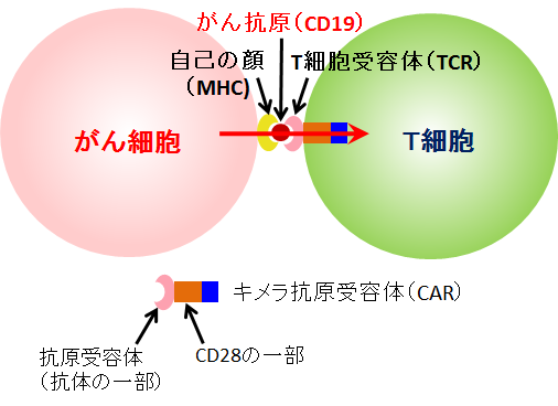 f:id:takyamamoto:20190523102043p:plain f:id:takyamamoto:20190523102043p:plain