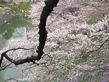 f:id:talet:20100331125620j:image f:id:talet:20100331125620j:image