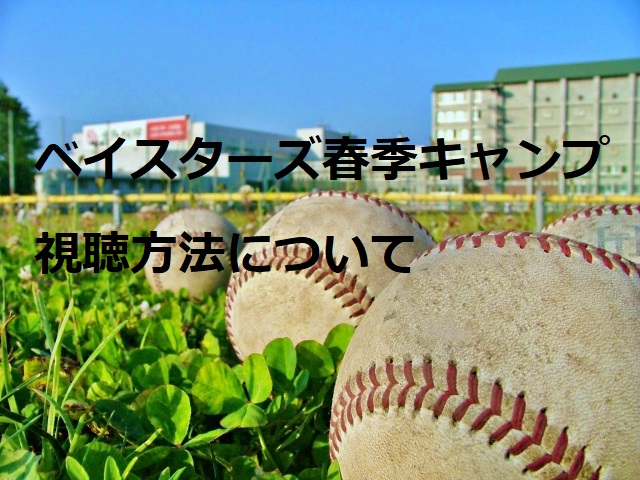 横浜dena ベイスターズ春季キャンプ２０２１の中継を視聴する方法 配信サービスの比較 横浜 たーざんの日常
