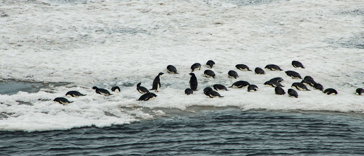 マクマードつづき 南極点でくらす1年間のきろく