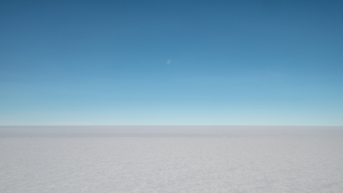 f:id:talking_penguin:20201209171537j:plain