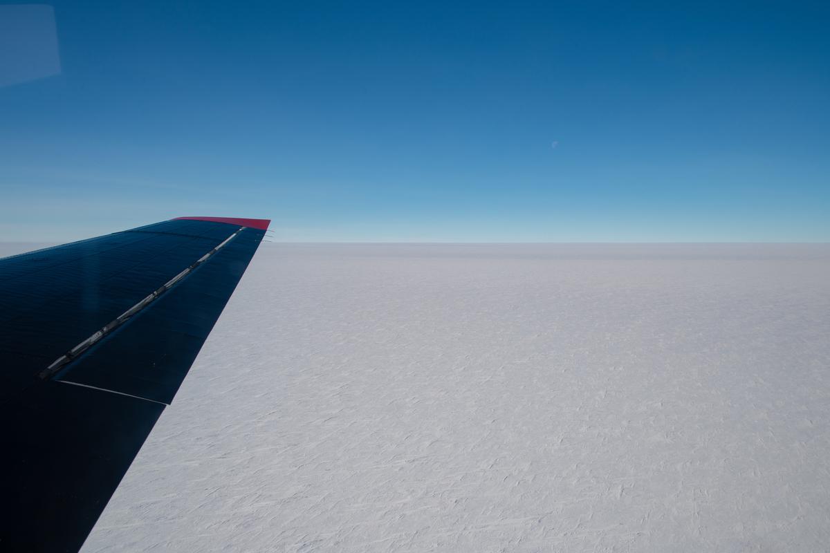 f:id:talking_penguin:20201209171550j:plain