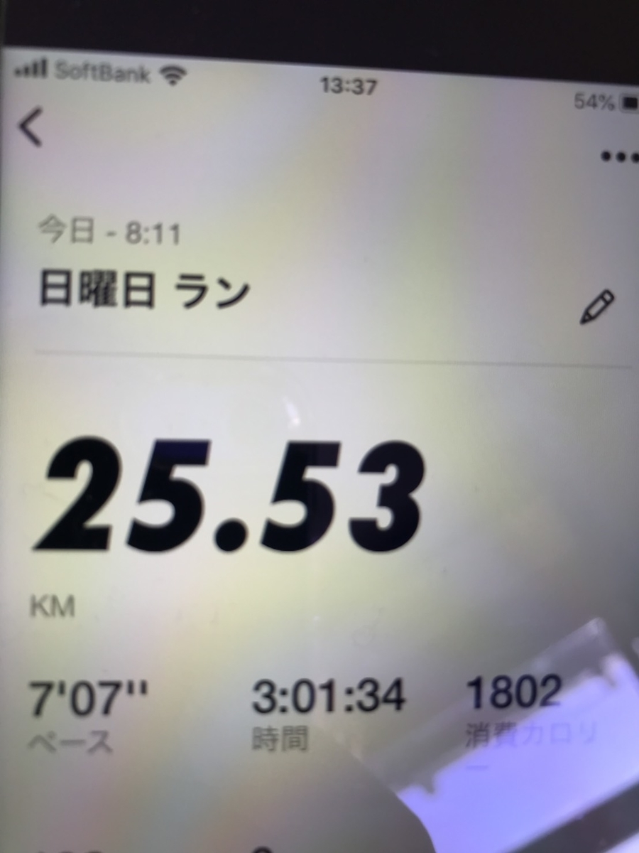 f:id:tamQ:20191231212335j:plain f:id:tamQ:20191231212335j:plain