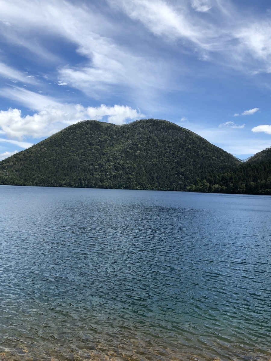 f:id:tamQ:20200816175936j:plain f:id:tamQ:20200816175936j:plain