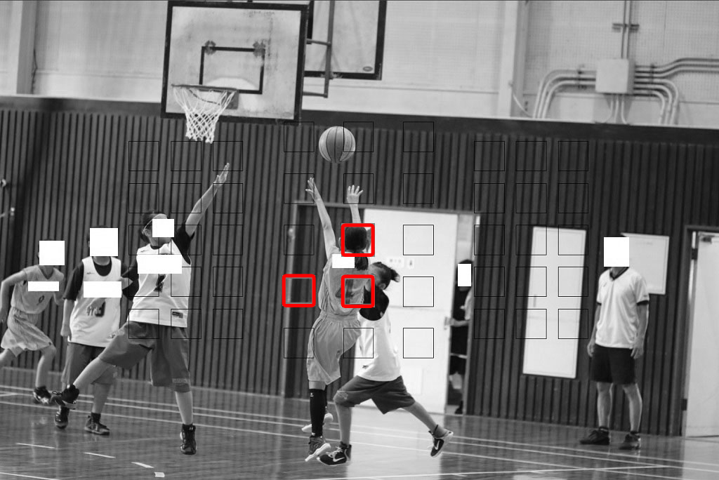 f:id:tama-9:20170704121129j:plain f:id:tama-9:20170704121129j:plain