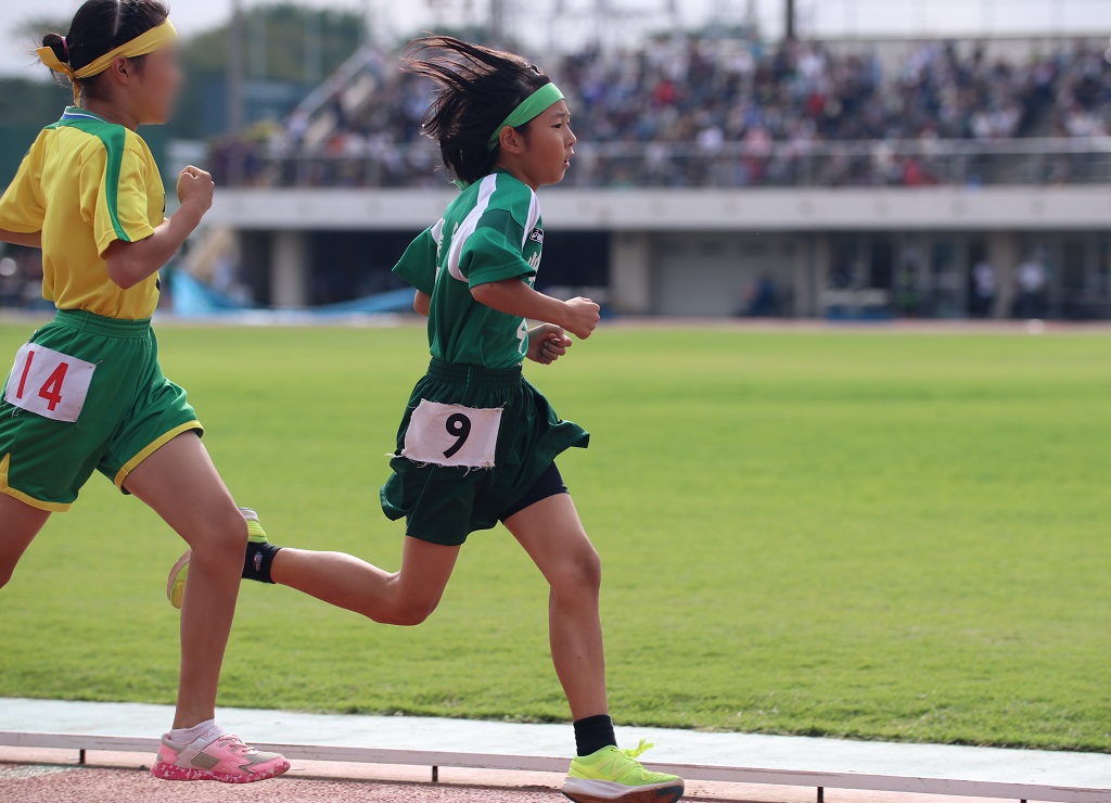 f:id:tama-9:20171209033358j:plain