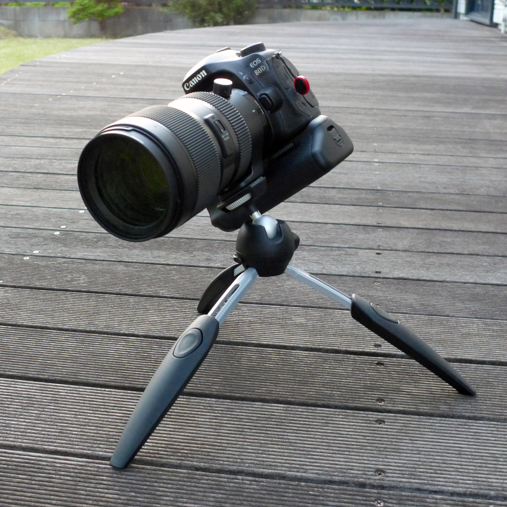 f:id:tama-9:20181231094126j:plain f:id:tama-9:20181231094126j:plain