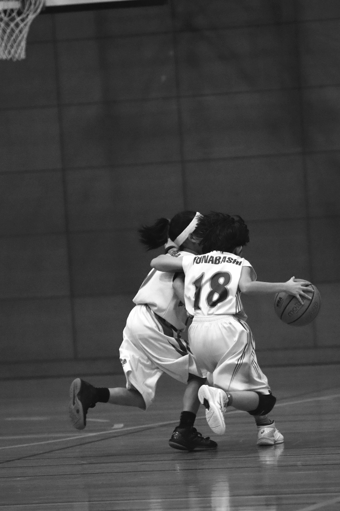 f:id:tama-9:20190121164959j:plain