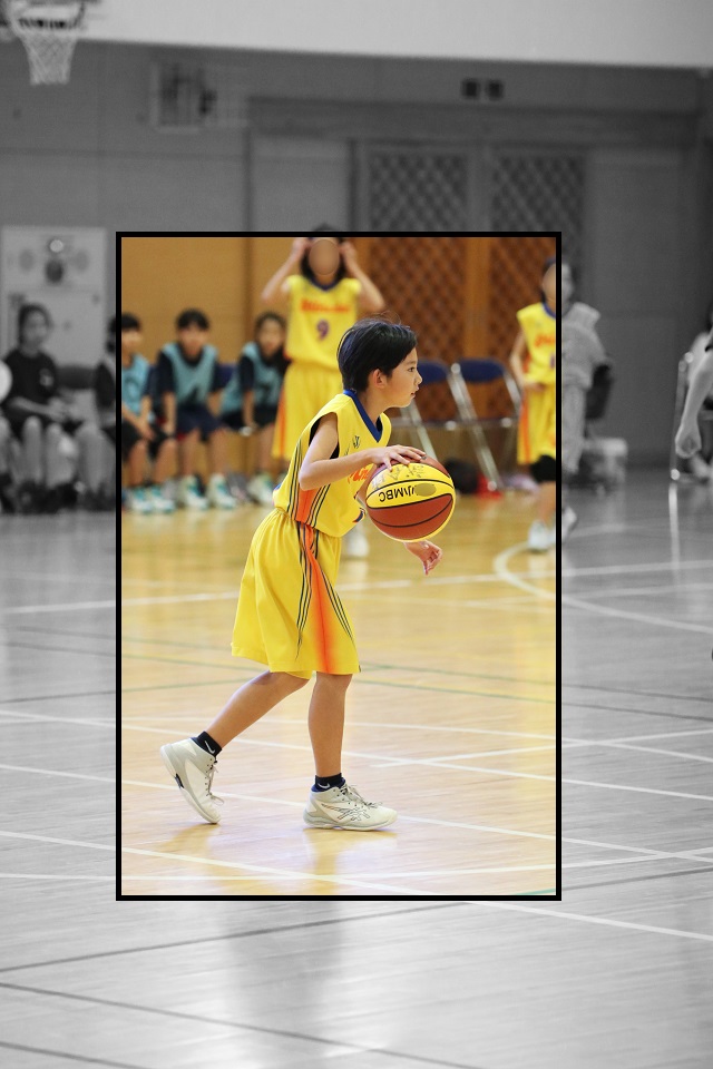 f:id:tama-9:20190203231539j:plain