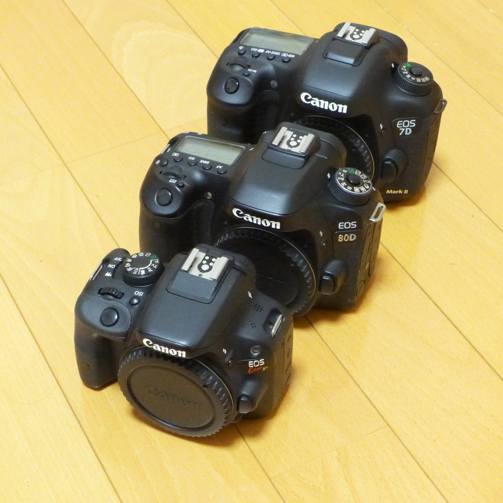 カメラ買ってしまいました Canon EOS 7D MarkⅡとCanon EOS Kiss カメラ買ってしまいました Canon EOS 7D MarkⅡとCanon EOS Kiss