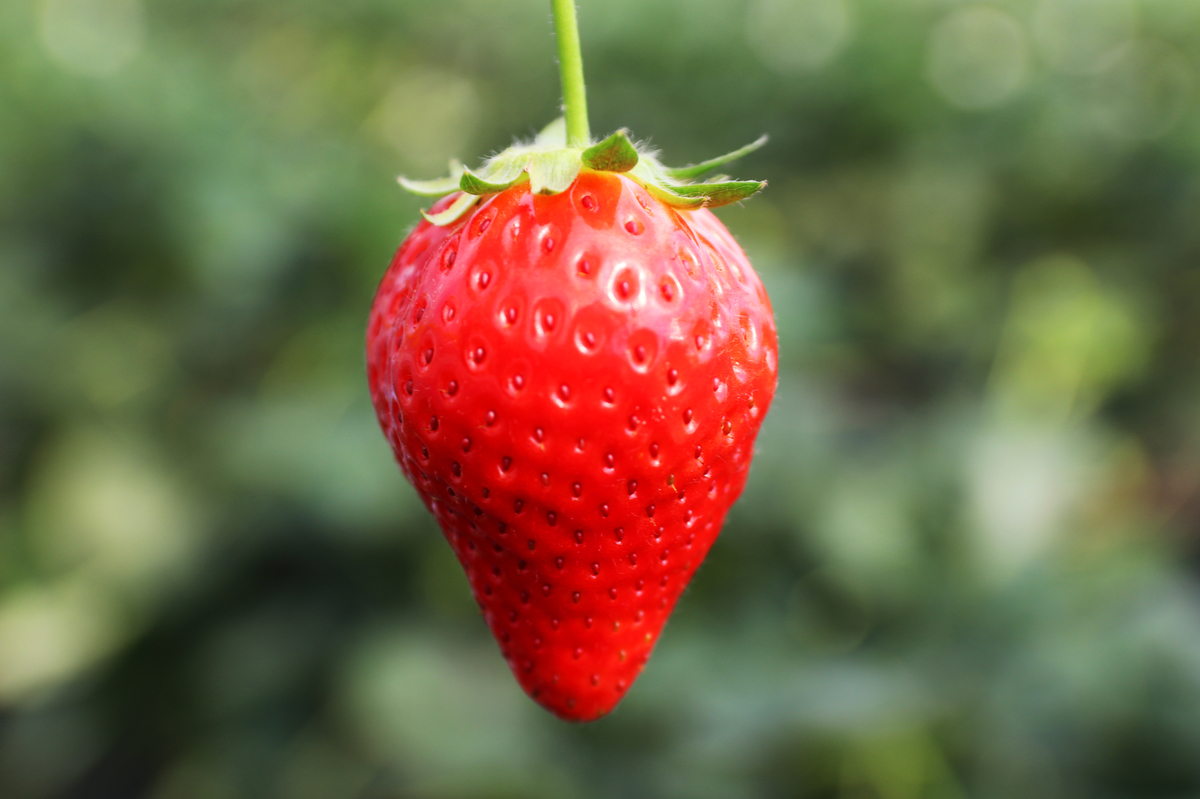 f:id:tama-9:20190410015830j:plain f:id:tama-9:20190410015830j:plain