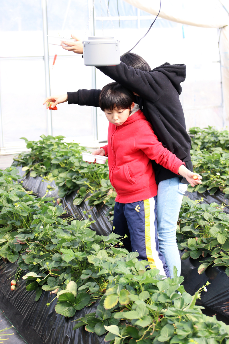 f:id:tama-9:20190410020139j:plain f:id:tama-9:20190410020139j:plain