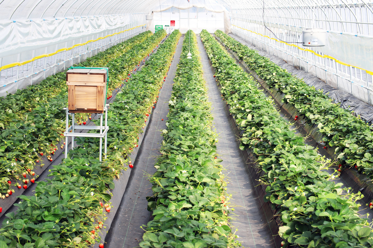 f:id:tama-9:20190410020502j:plain f:id:tama-9:20190410020502j:plain