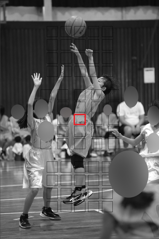 f:id:tama-9:20191117163627j:plain