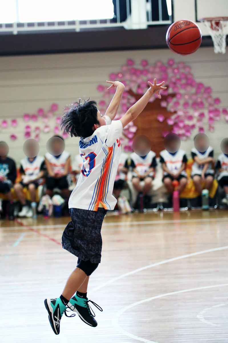 f:id:tama-9:20191125233516j:plain