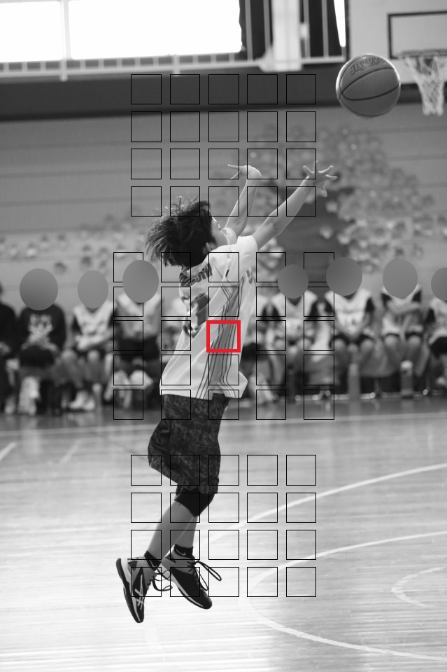 f:id:tama-9:20191125233534j:plain