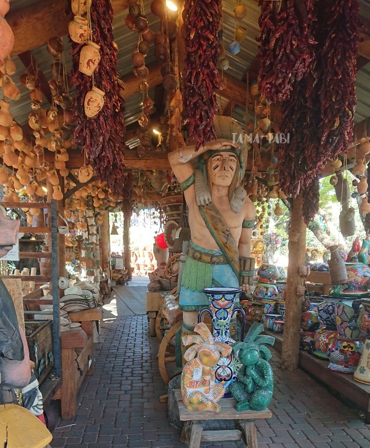 f:id:tama-qsoku:20211025135509j:plain