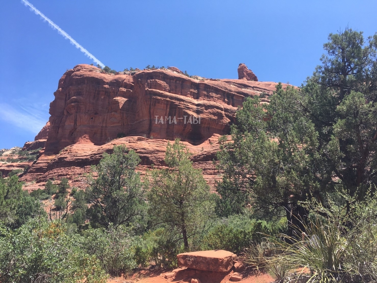 f:id:tama-qsoku:20211026140333j:plain