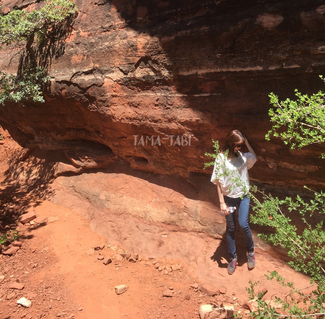 f:id:tama-qsoku:20211026140529j:plain