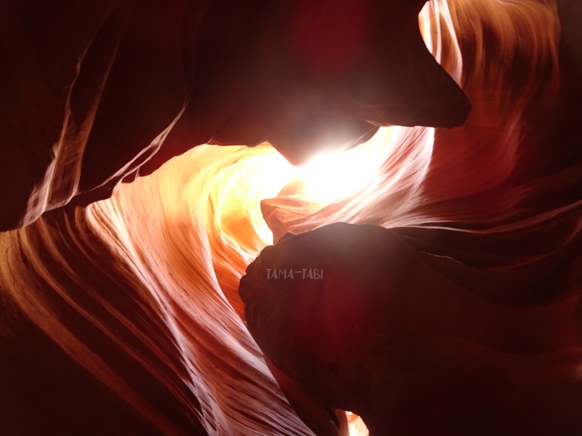 f:id:tama-qsoku:20211026154343j:plain