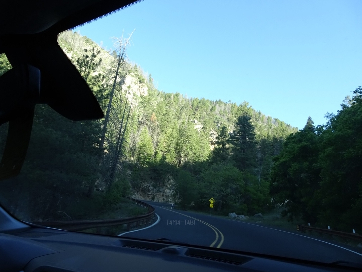 f:id:tama-qsoku:20211026154455j:plain