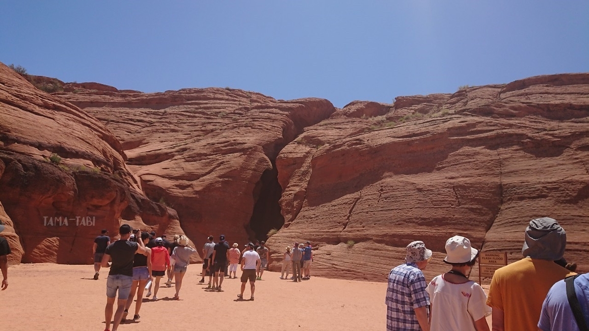 f:id:tama-qsoku:20211026154655j:plain