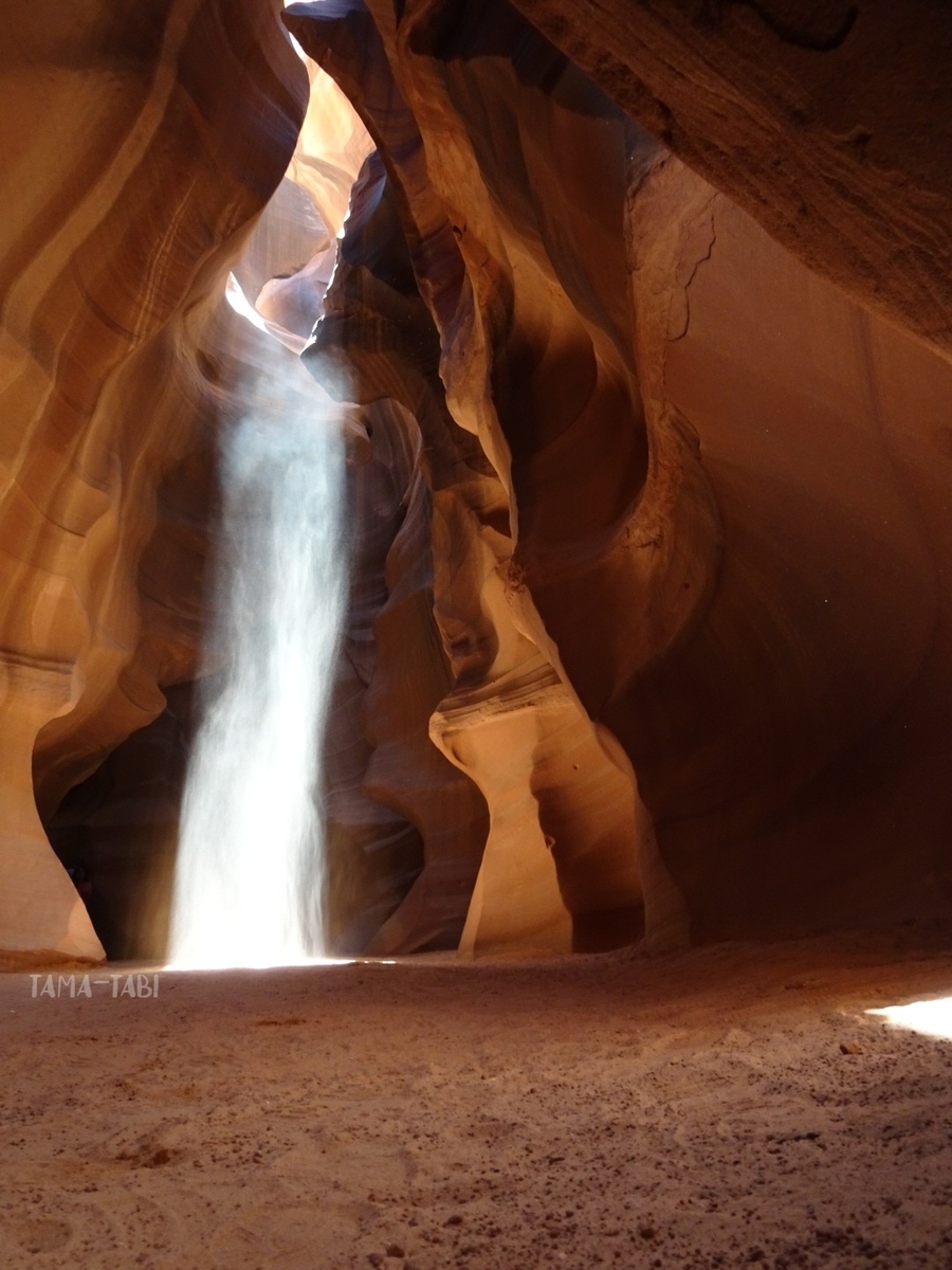 f:id:tama-qsoku:20211026154731j:plain