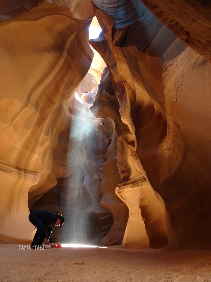 f:id:tama-qsoku:20211026154912j:plain