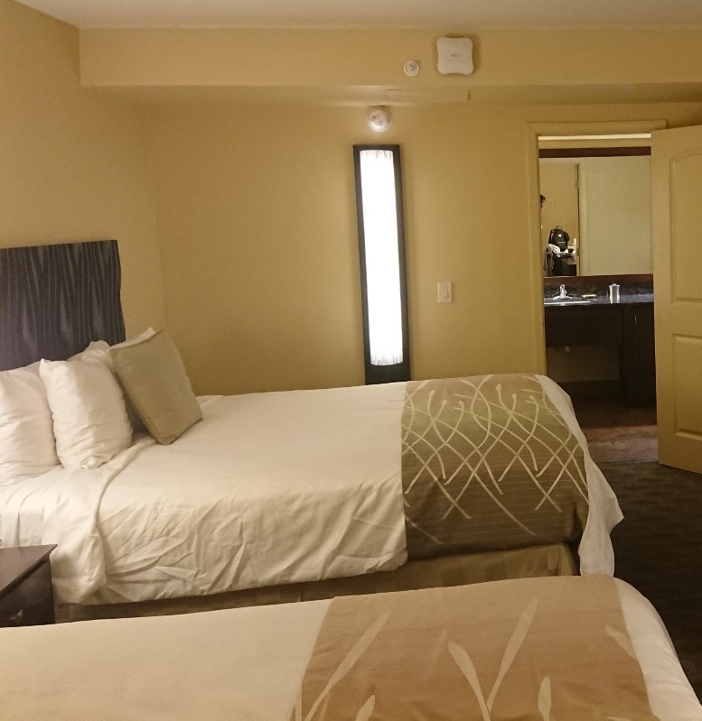 f:id:tama-qsoku:20211101221647j:plain