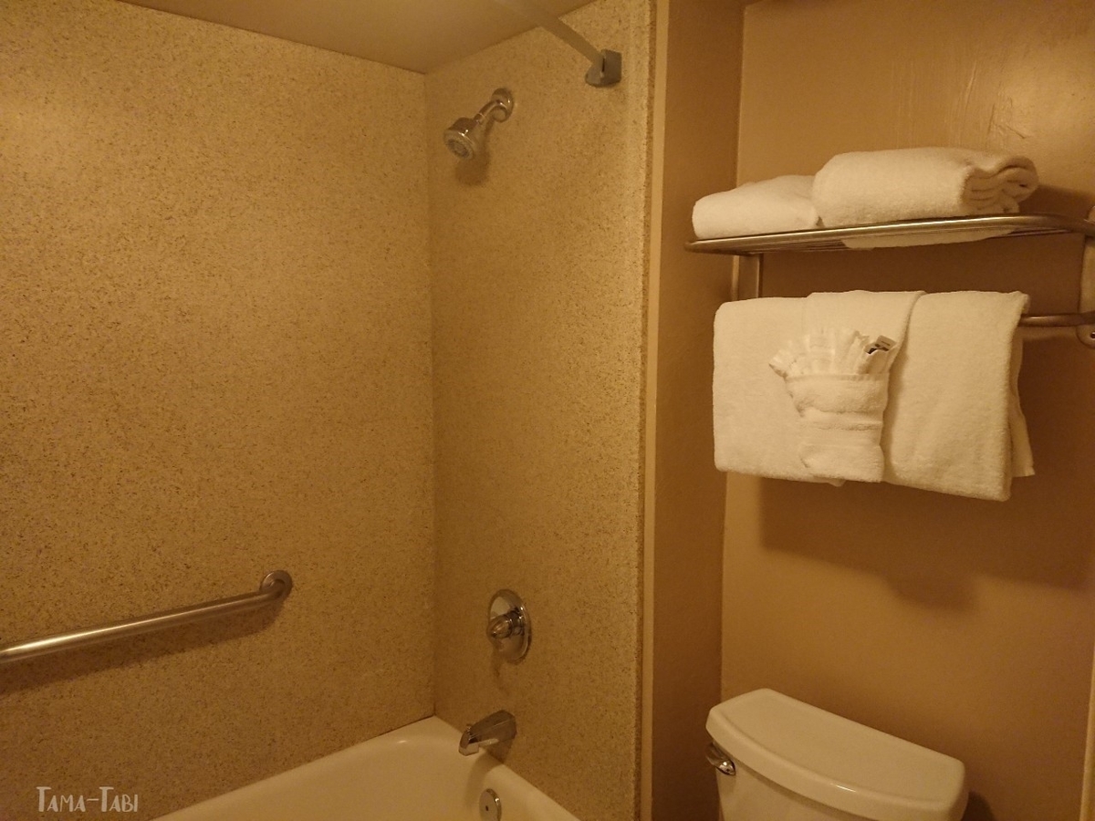 f:id:tama-qsoku:20211101221743j:plain