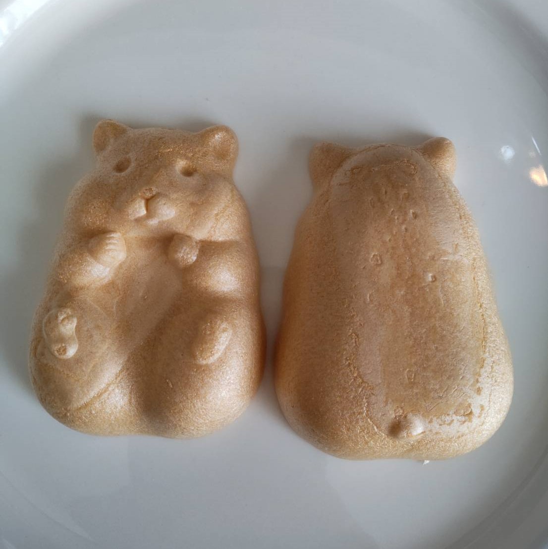 f:id:tama-qsoku:20220315145850j:plain