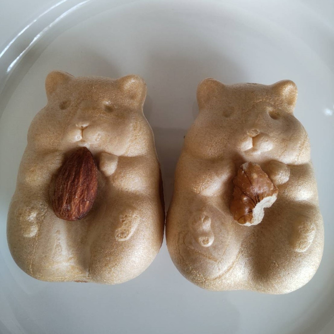 f:id:tama-qsoku:20220315151837j:plain