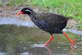 f:id:tama0306:20191204093247j:plain f:id:tama0306:20191204093247j:plain