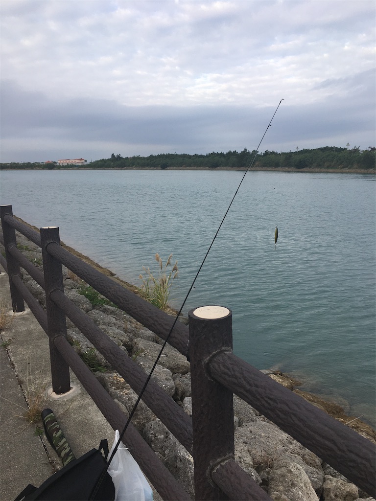 豊見城市豊崎の朝釣り めんそーれ
