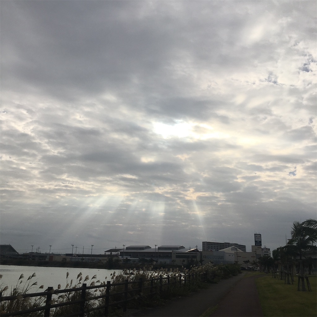 f:id:tama0306:20191213110949j:image f:id:tama0306:20191213110949j:image