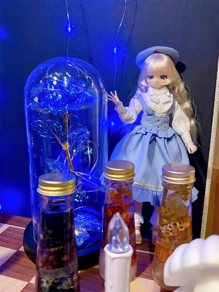 f:id:tama0417:20251224185200j:image