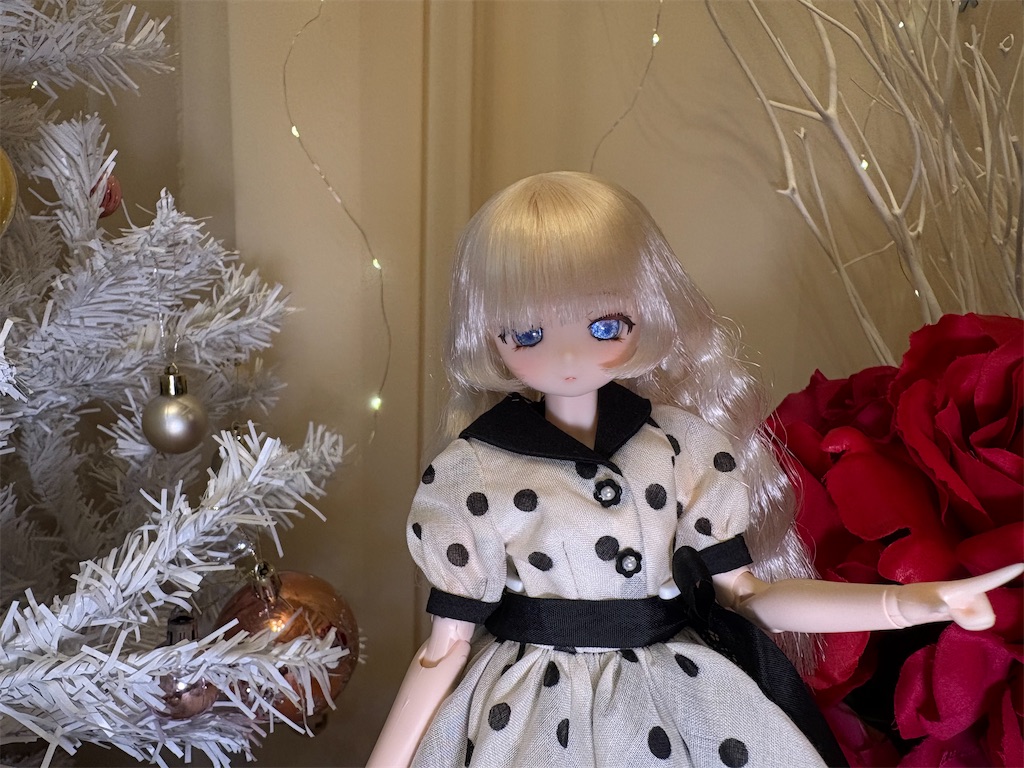 f:id:tama0417:20251225184821j:image